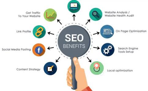 SEO Expert — 12+ Years Experience