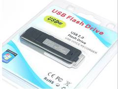 2-in-1 8GB USB Flash Drive Digital HD USB Audio Voice Recorder
