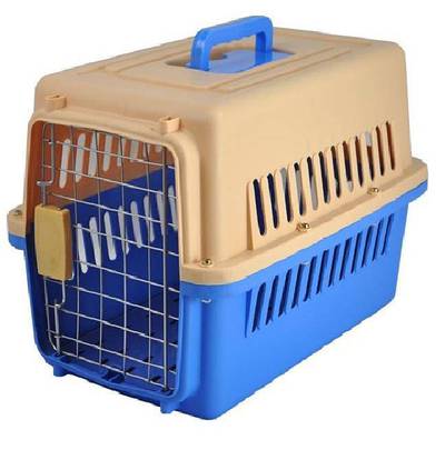 frenchie puppy shampoo