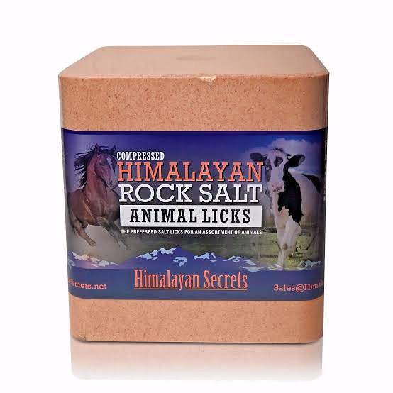 Compressed Block Salt for Animal Lick 7