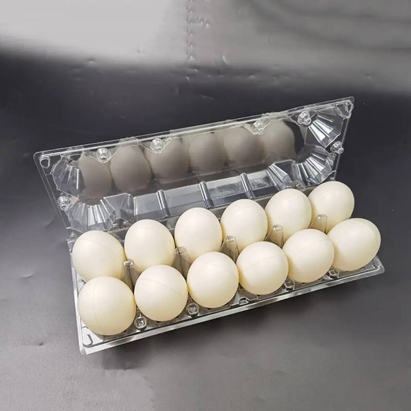 Plastic Egg Tray locks wali 5