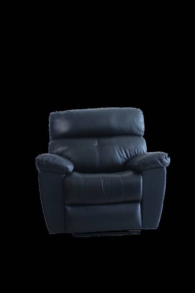 Dual Motor Power Recliner Cow Leather (High Life) 1