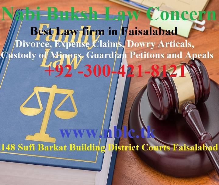 Family Court Cases Faisalabad 2