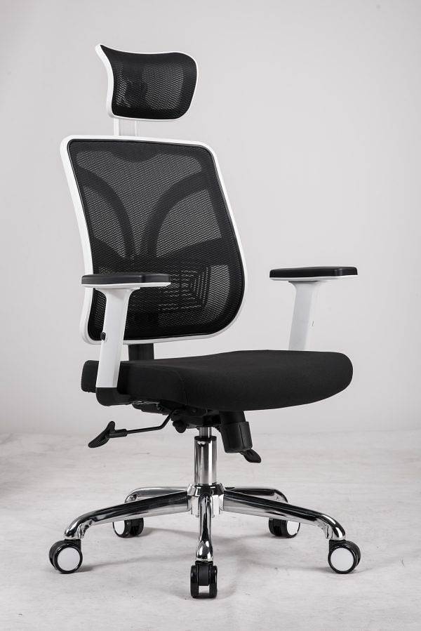 Executive  Office Chair Mesh Back with Headrest 11