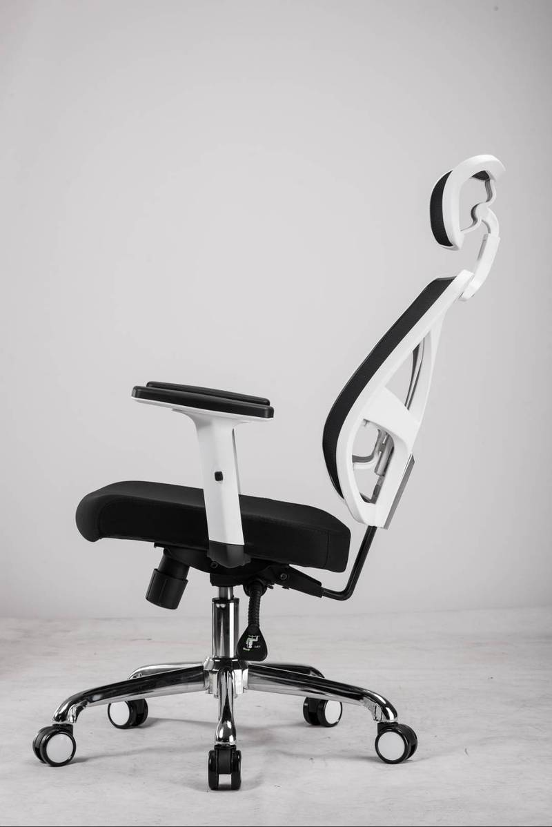 Executive  Office Chair Mesh Back with Headrest 2