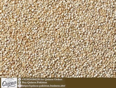 Quinoa Pakistan: Buy Organic Quinoa in Pakistan Lahore & Karachi 4