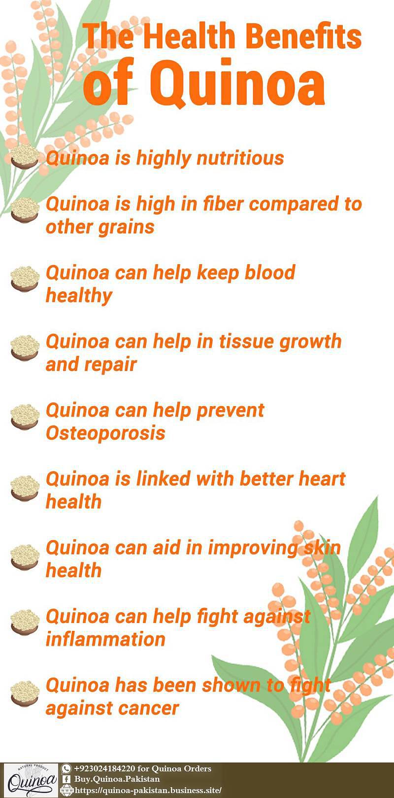 Quinoa Pakistan: Buy Organic Quinoa in Pakistan Lahore & Karachi 6