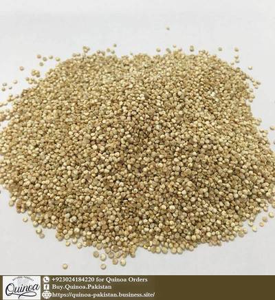 Quinoa Pakistan: Buy Organic Quinoa in Pakistan Lahore & Karachi 7