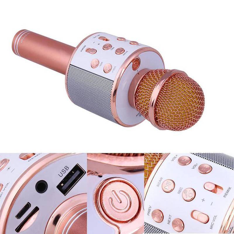 WS 858 Mic and Hifi Speaker,Voice Changer, Bluetooth Speaker,Portable 2