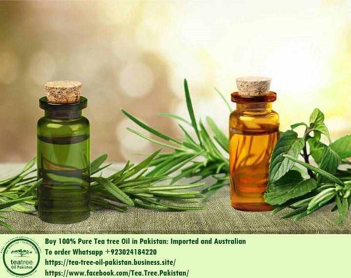 Where Buy Australian Tea Tree Oil in Pakistan 3