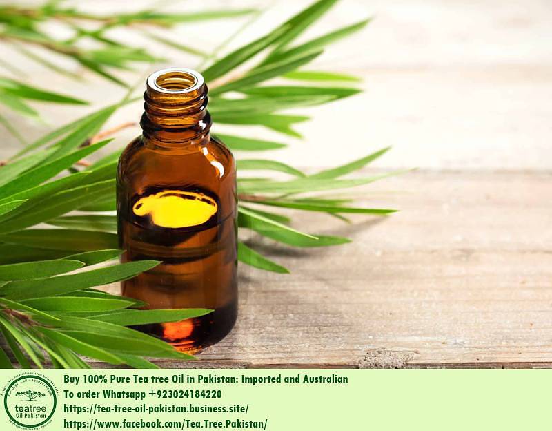 Where Buy Australian Tea Tree Oil in Pakistan 4