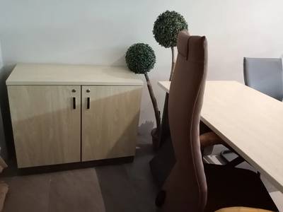 Ortho Chair