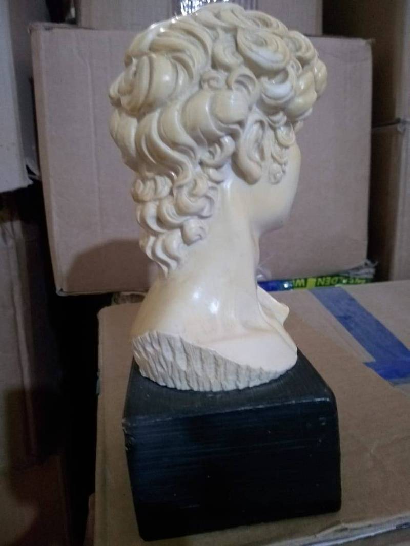 Head of David Sculpture For Decoration 3