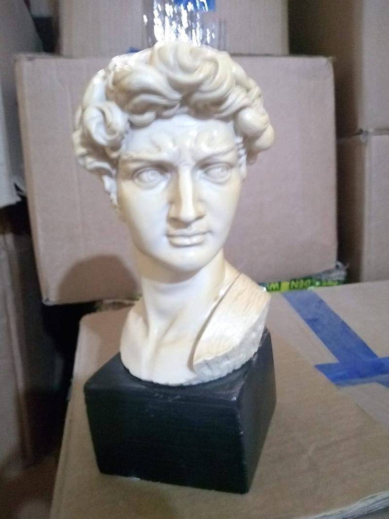 Head of David Sculpture For Decoration 7