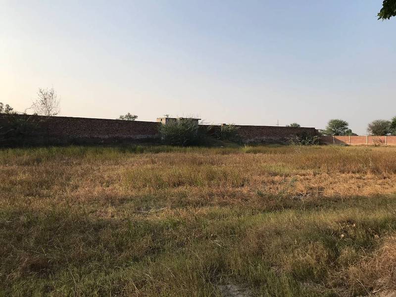 7 Kanal Farmhouse Boundary Walls Land For Sale At Jahman Bedian Lahore 6