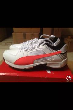 Puma Cricket Spikes Shoes