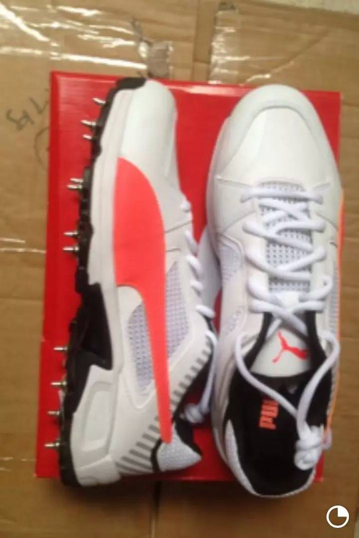 Puma Cricket Spikes Shoes 2