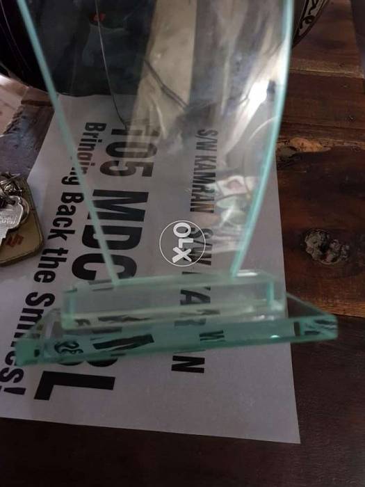 Award Trophy Shield Glass Shields for appreciation Trophy for sale 8