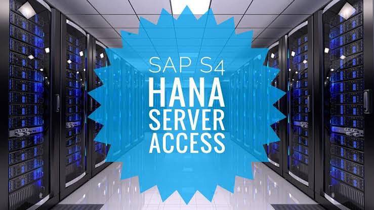 SAP S4 Hana Remote Access | SAP S4 Hana Online Access | Hana 2020 3