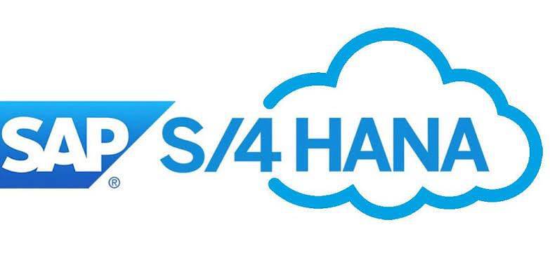 SAP S4 Hana Remote Access | SAP S4 Hana Online Access | Hana 2020 2