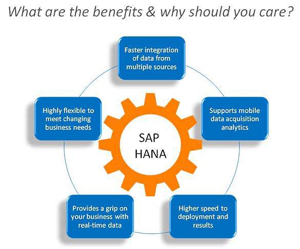 SAP S4 Hana Remote Access | SAP S4 Hana Online Access | Hana 2020 5