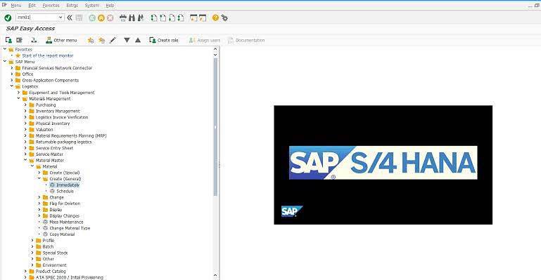 SAP S4 Hana Remote Access | SAP S4 Hana Online Access | Hana 2020 4