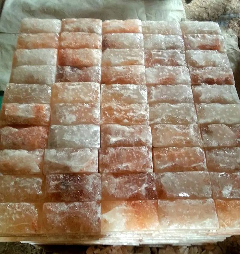 Pink Salt Tiles and Salt Blocks for BBQ Cooking with home delivery/COD 2