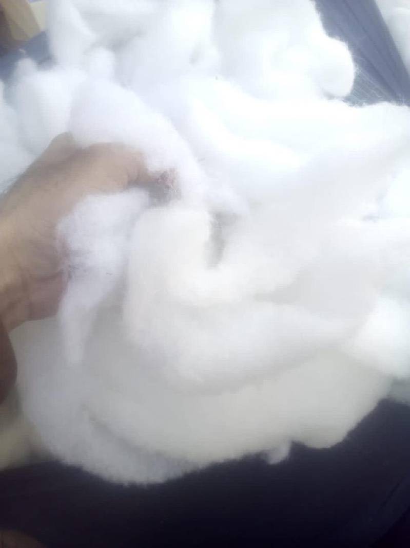 Polyester staple fiber for fillings 0