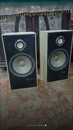 Akai 10" Orginal speakers