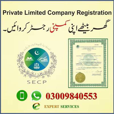 Ybiz 0300**9840553 Company registration tax returns ISO filer