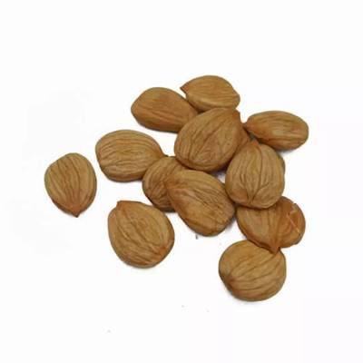 Apricot kernel