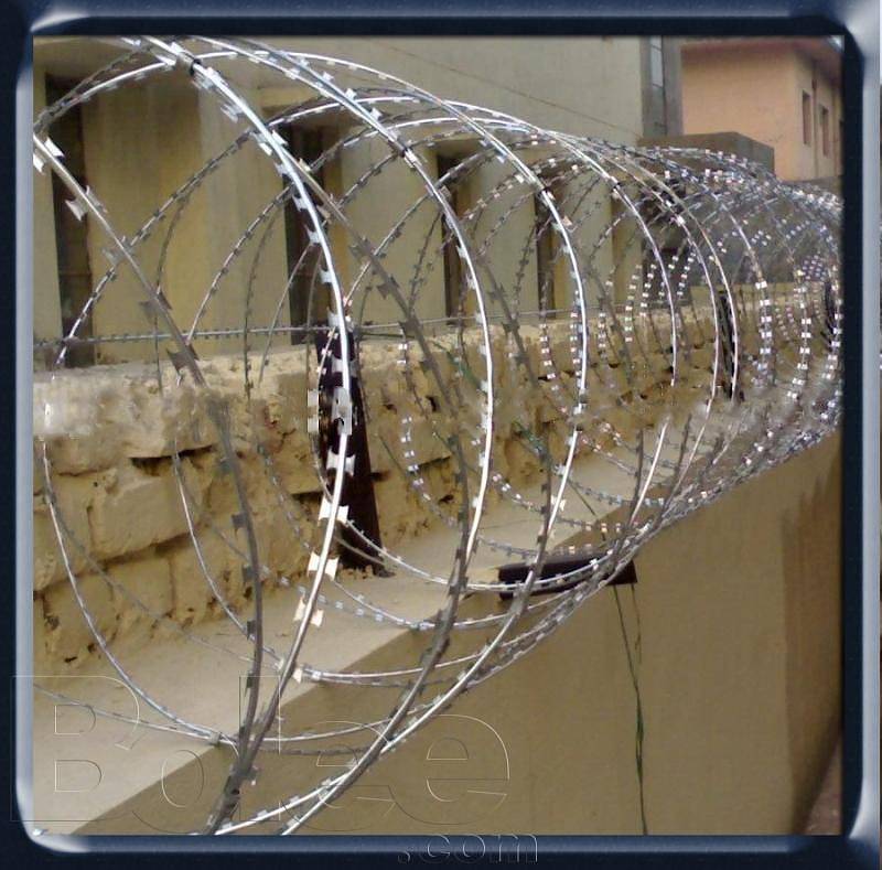 Boundry wall security razor wire 3