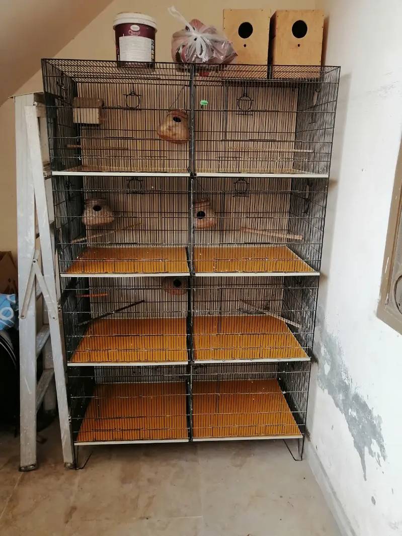 Special cage for sale 0