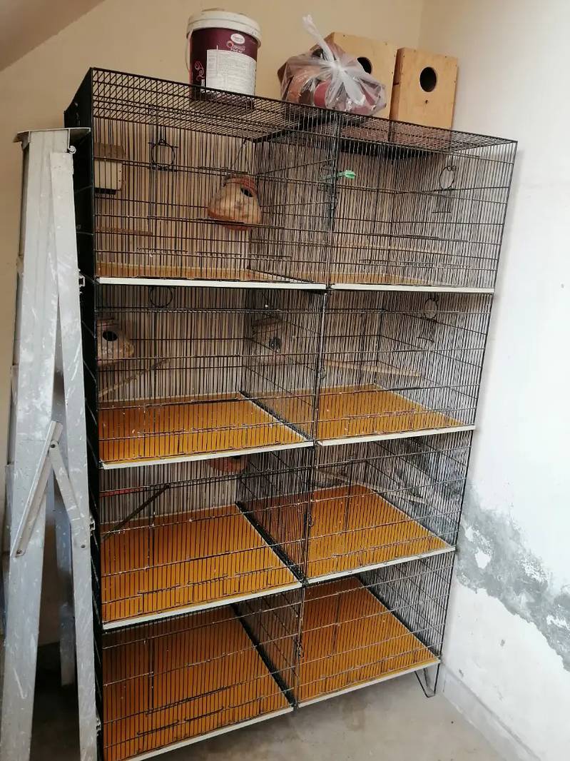 Special cage for sale 1