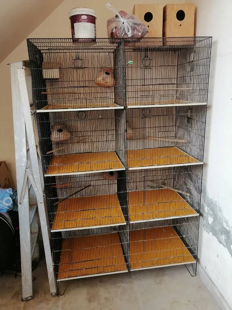 Special cage for sale 2