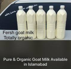 Goat milk islamabad