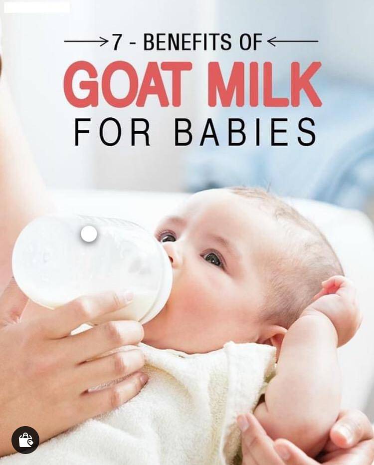 Goat milk islamabad 1