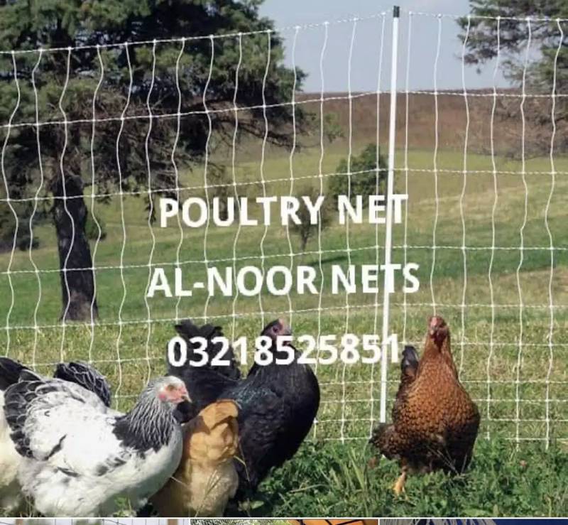 Bird Net - Anti Bird Roof Net - Boundary Net 2