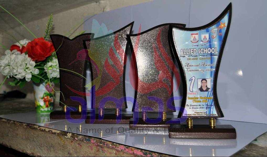 Awards Shields 5