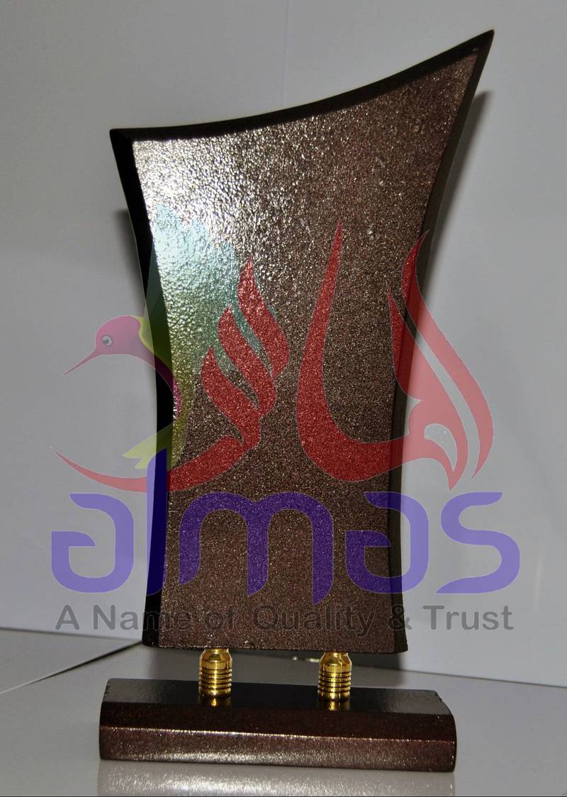 Awards Shields 11