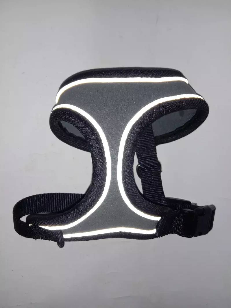 Branded Dog harness, collar & Muzzle for sale 4