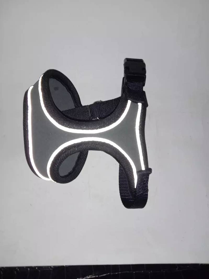 Branded Dog harness, collar & Muzzle for sale 6