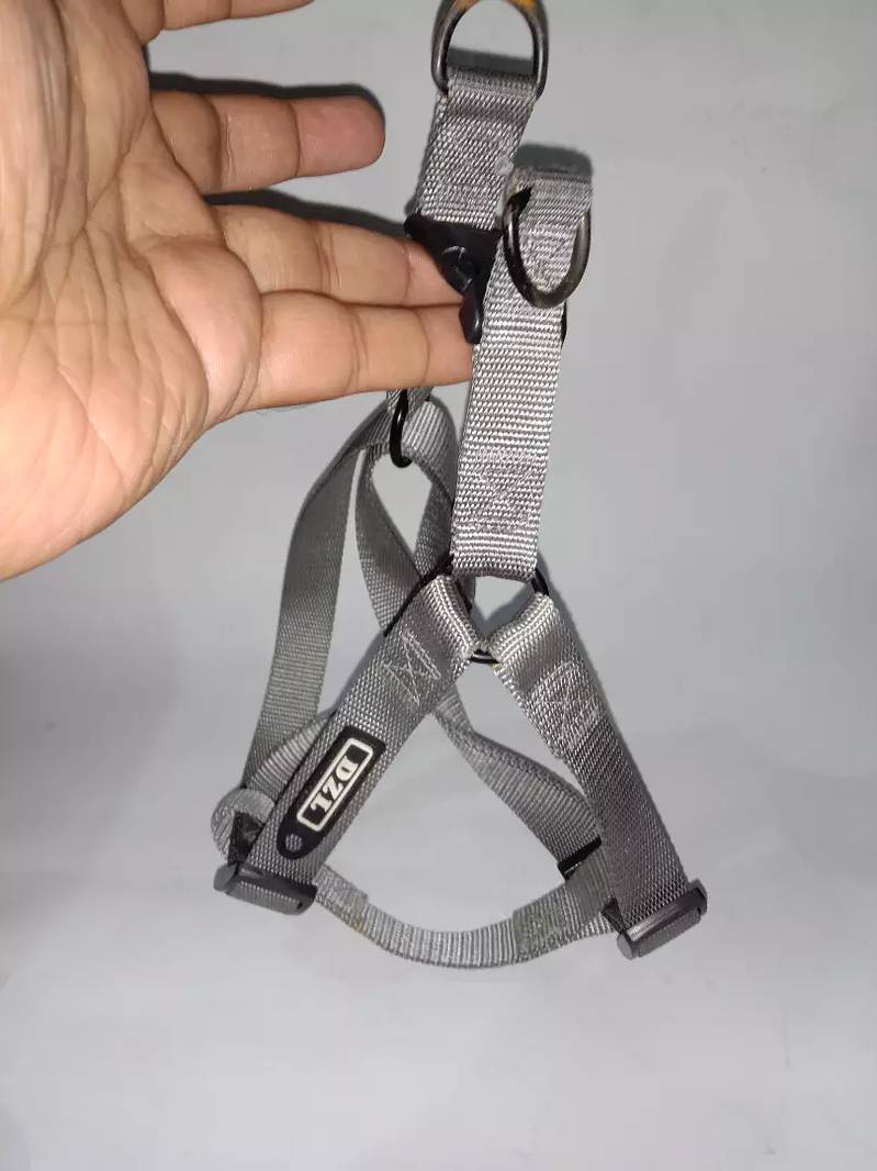 Branded Dog harness, collar & Muzzle for sale 8