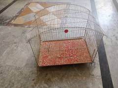 Cage for parrots and pigeon birds for sale