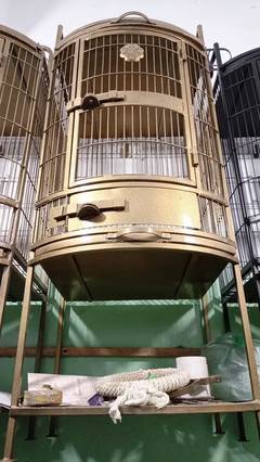 Cages available for Macaw,Grey Parrot And Different Parrots