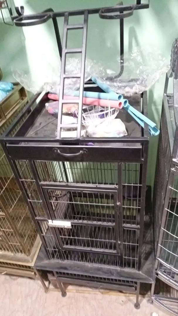 Cages available for Macaw,Grey Parrot And Different Parrots 11