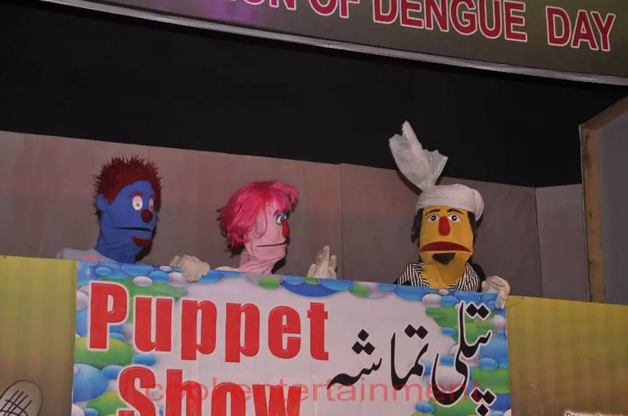 Magic Show And Puppet Show. Cartoon character. Horror house 1
