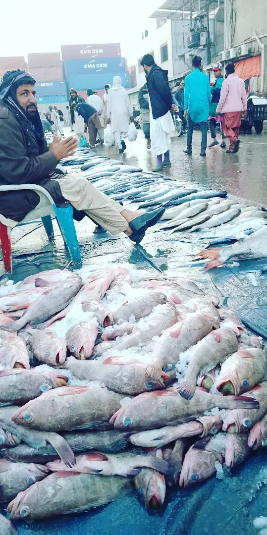 Sea food — photo 2