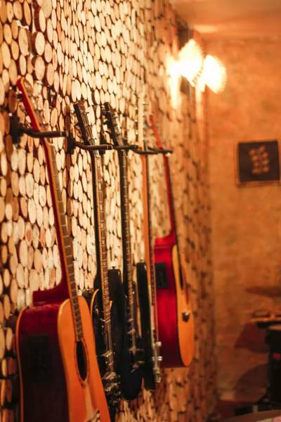 Learn singing/ guitar/piano in professional  recording studio