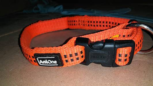 AniOne Dog Collar Adjustable. Imported Made in Germany.